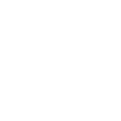 Chitarra 6 Corde 