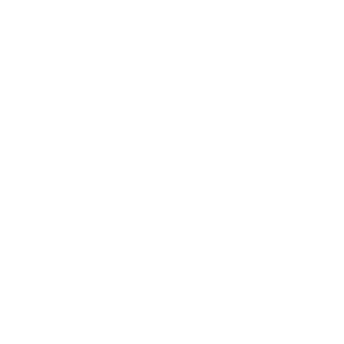 Chitarra 12 corde 
