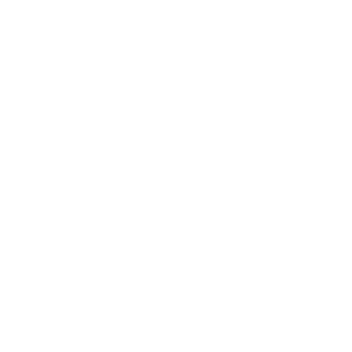 Ukulele 