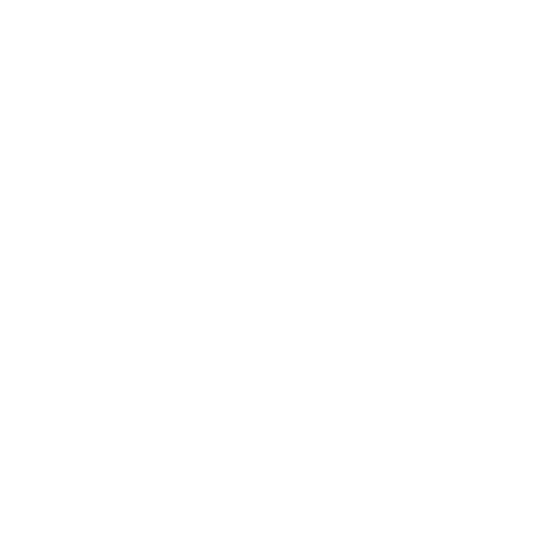 Chitarra acustica 