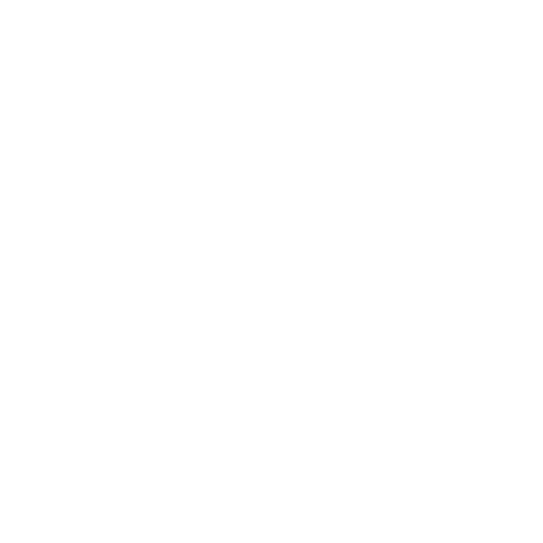 Chitarra elettrica 