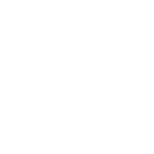 Saxophone soprano 