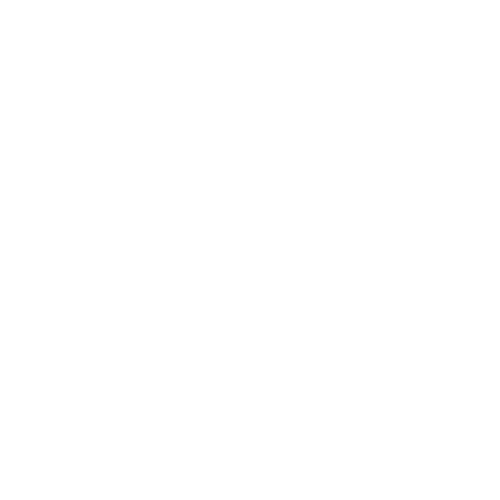 Cornets à pistons 